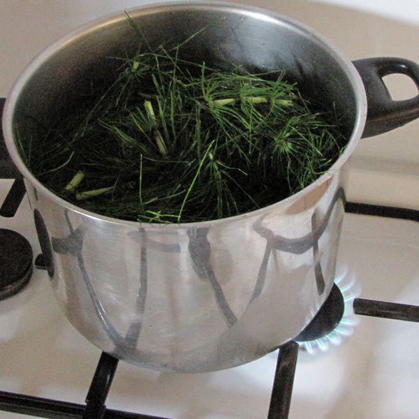 cuisson des preles pour decoction